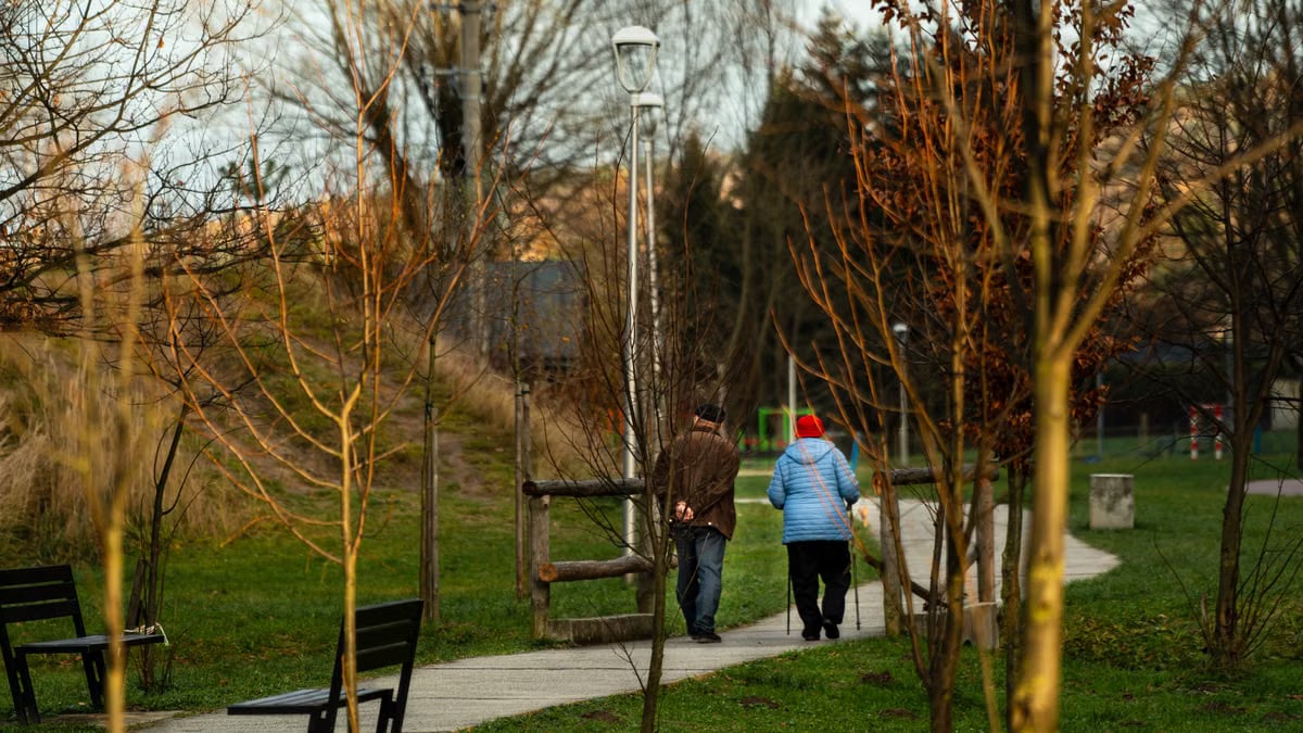 An elderly couple strolls through a serene park setting under the autumn trees.